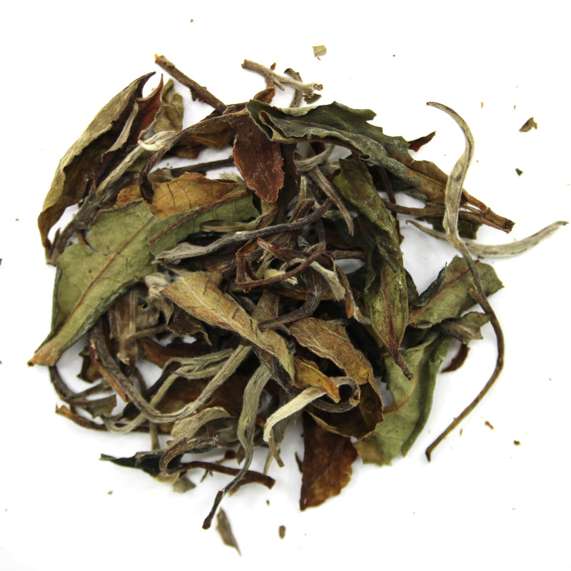 White Peony (Bai mu dan)